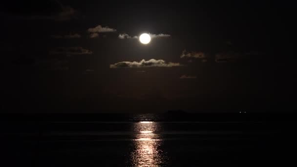 Nightscape