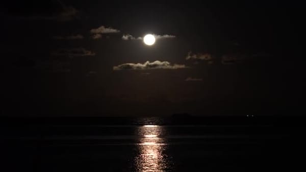 Nightscape